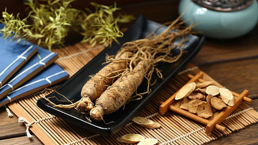 Panax-Ginseng